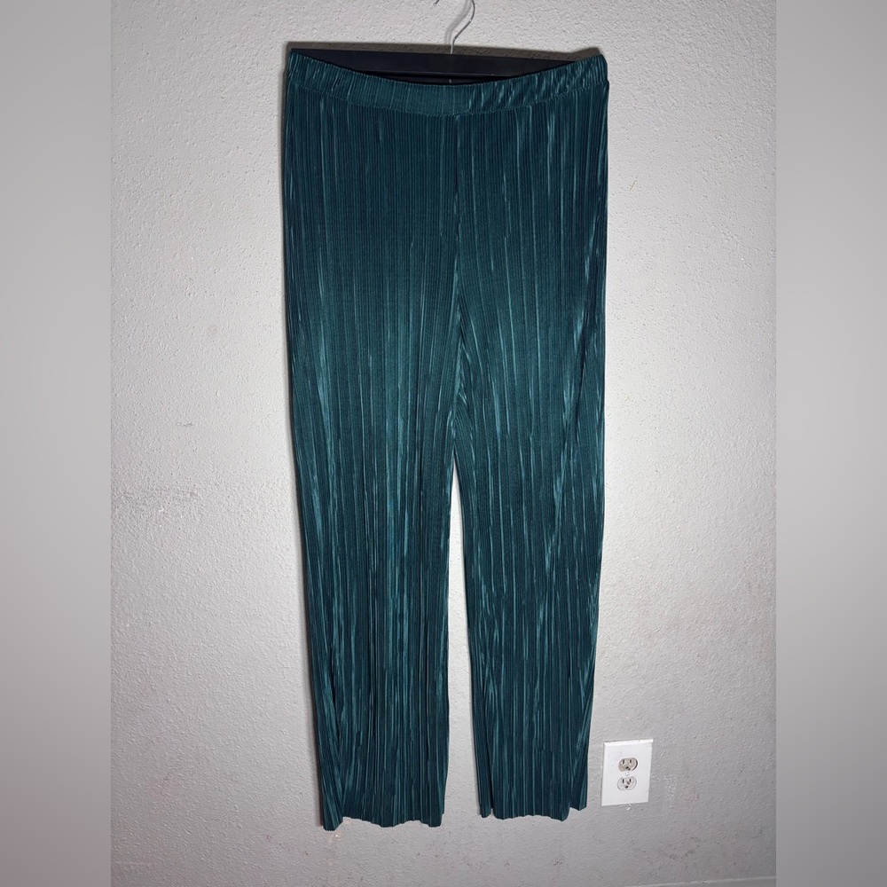 Zara pants